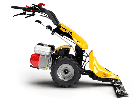 PASQUALI HB15 tuinfreeskopen.nl