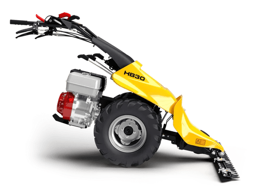 PASQUALI HB30 - tuinfrees.shop