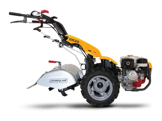 PASQUALI SB28 - tuinfrees.shop