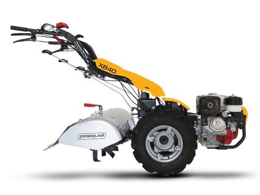PASQUALI XB40 - tuinfrees.shop