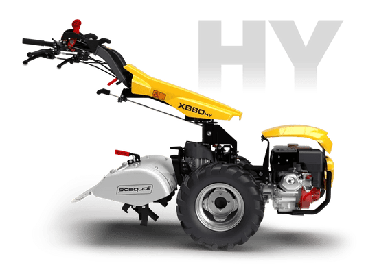 PASQUALI XB80 - tuinfrees.shop